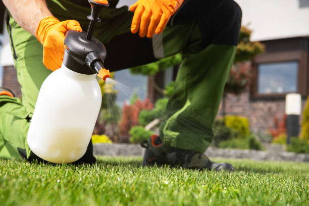 Best Cockroach Control Services  in Meade, KS