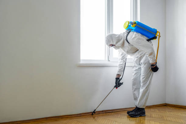 Best Pest Removal Services  in Meade, KS