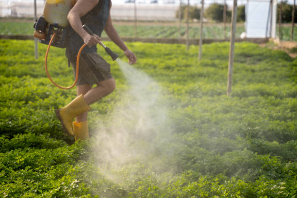 Best Local Pest Control Services  in Meade, KS