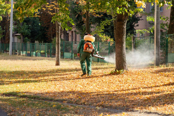 Best Affordable Pest Control Services  in Meade, KS