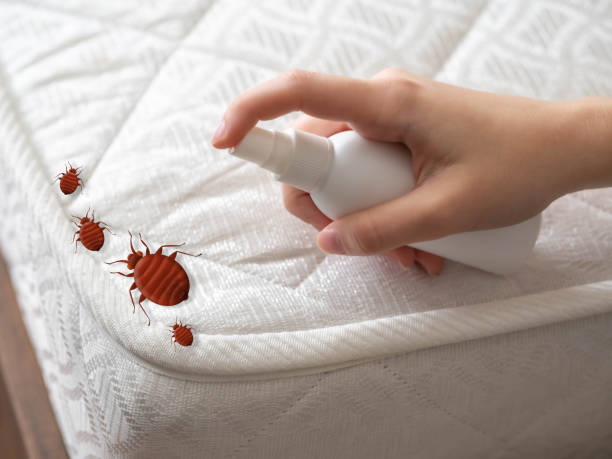 Best Best Pest Control Companies  in Meade, KS