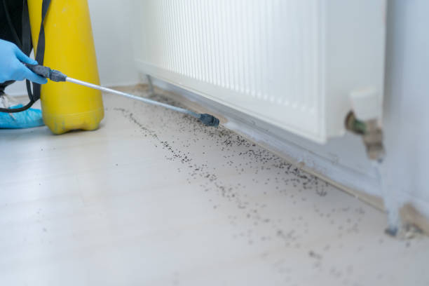 Pest Control Cost in Meade, KS