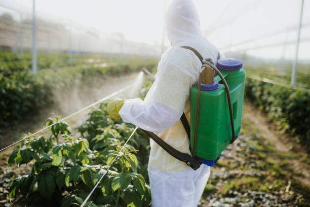 Best Exterminator Services  in Meade, KS